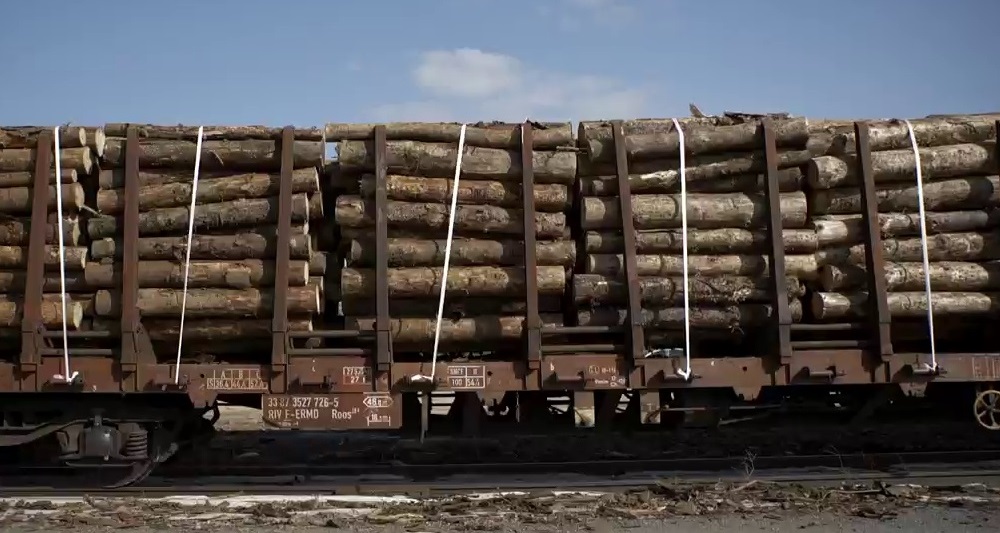 Nouveaux trafics ferroviaires de bois vers le Sud-Ouest
